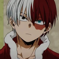 Shoto Todoroki -BF-