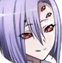 Rachnera