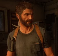 012_Joel Miller -AU-