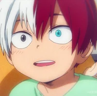 Little Todoroki
