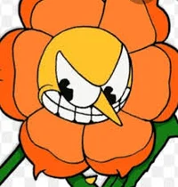 Cagney carnation