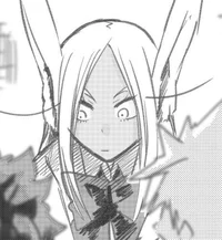 Rumi Usagiyama