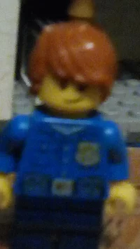 Dob brickman