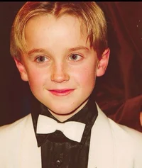 Little draco