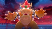 Fury Bowser