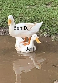 Ben-Jeff 