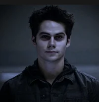 Void Stiles 