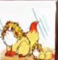 Rengo and senji cat