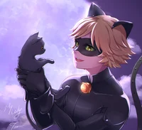 Chat noir 