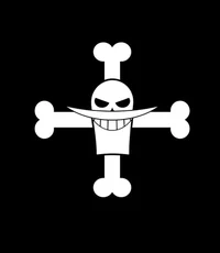 -Whitebeard Pirates