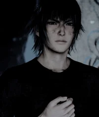 Noctis Lucis Caelum