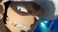 Trafalgar Law