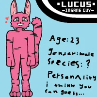Lucus Remake