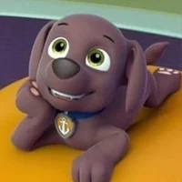 Zuma
