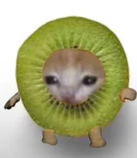 Isa