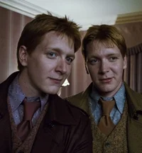 Weasley twins