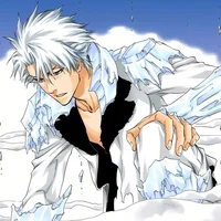 Toshiro Hitsugaya