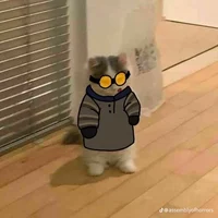 Ticci toby tu gatito