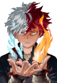 Shoto Todoroki 