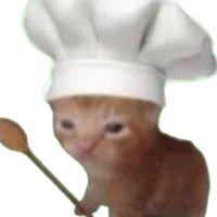 Chef Cat