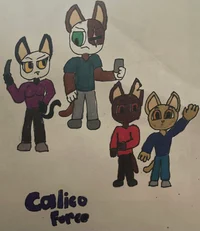 Calico Task Force