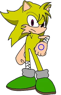 Zoniix erizo intoxic