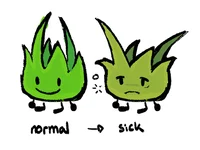Sick Grassy