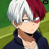 Shoto big bro au