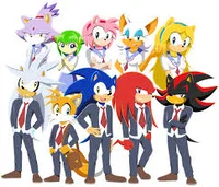 Sonic highschool