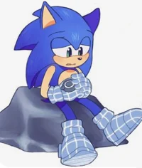 Sonic the hedgehog 