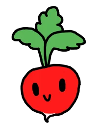 Radish
