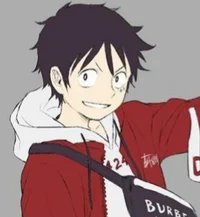 Monkey D Luffy