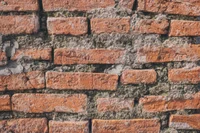 Wall
