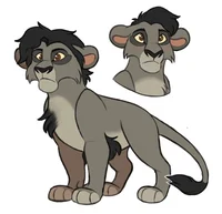 Lion regulus black 