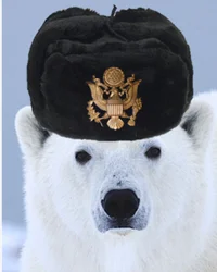 Russian bear