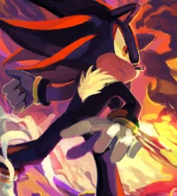 Shadow the hedgehog 