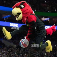 Harry the Hawk