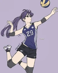 Komi San Volleyball