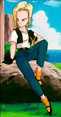 Android18 girlfriend