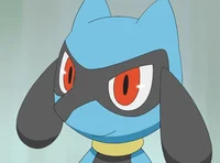 Riolu