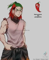 harupeno P vs Z -059