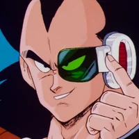 --Raditz--