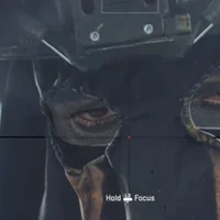 Konig 