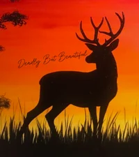 Deadly But Beautiful