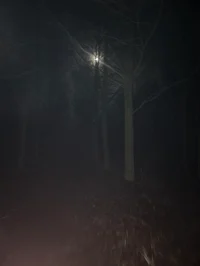 Lost with a princess