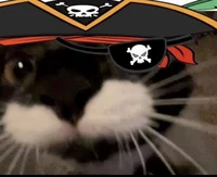 ye ol captain Catso