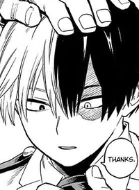 Shoto Todoroki