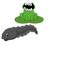 TadpoleSam n Froglet