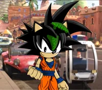 Goku the hedgehog 