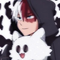 MHA-Shoto Todoroki